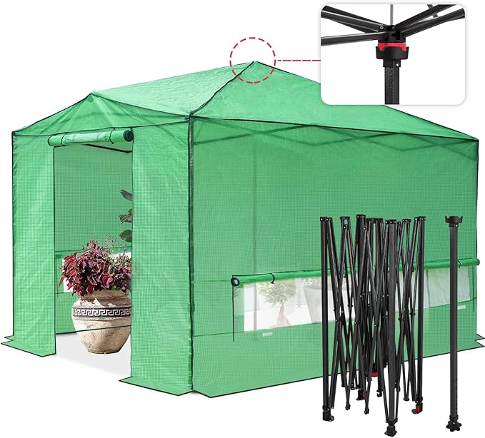 EAGLE PEAK 12x8 Portable Walk in Greenhouse, Pop Up Indoor Outdoor Greenhouse, Green House Kit with Zippered Roll-Up Doors, Windows + Support Pole, PE Cover, Clear/Green