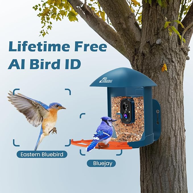 Smart Bird Feeder with Camera, 2K HD Birdwatching Camera with AI Identify Bird Species & Solar Panel, Auto Video Capture & Instant Notifications, for Dad Granpa Birdlovers