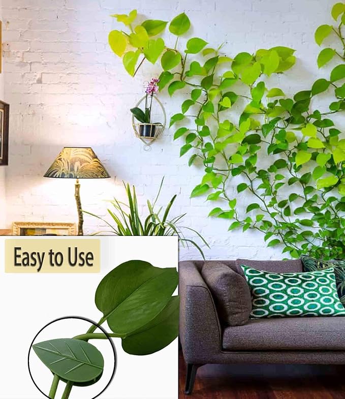 80PCS Plant Climbing Wall Fixture Clips-Plant Clips-Pothos Clips-Vine plant wall clips- Self-Adhesive Plant Fixing Hook for Plant Garden Wall Clip,Sticky Plant Fixing Clip for Decoration