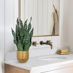 Hollyone Artificial Snake Plant Potted Faux Sansevieria Trifasciata Plants, 16.9" Tropical Mother in Law Tongue Fake Plants in Metal Gold Pots for Home Office Room Indoor Decor Housewarming Gifts