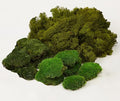 Large Natural Green Decorative Moss Reindeer Vase & Bowl Filler|Preserved Leaves, Ferns, Dried Plant Christmas Wedding Party Decor(Christmas-1)