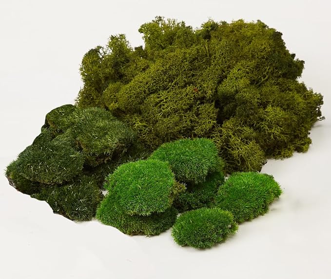Large Natural Green Decorative Moss Reindeer Vase & Bowl Filler|Preserved Leaves, Ferns, Dried Plant Christmas Wedding Party Decor(Christmas-1)