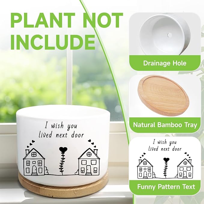 Friend Gifts for Women, I Wish You Lived Next Door, Cute Succulent Plant Pot, Flower Planter, Friendship Long Distance Relationship Gifts for Women Best Friend (Plants Not Included)