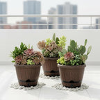 Sun-E 10 Inch Whiskey Barrel Self Watering Planters 3Pack- Brown Wood Grain with Side Water Level Indicator,Drainage Holes,Saucer&Plant Tags for Indoor Outdoor Garden Plants,Decor&Plants Not Included
