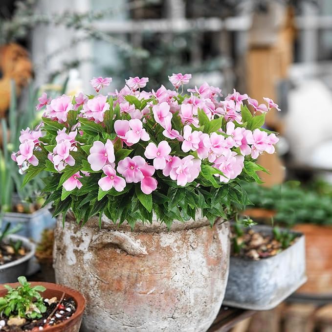 CITYES 4 Pcs Artificial Flowers Outdoor Impatiens UV Resistant Silk Impatiens Flowers Pink Faux Flowers Impatiens Bushes Artificial Impatiens for Pot Patio Lawn Garden Hanging Basket Porch Decor