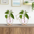 Plant Terrarium Plants Propagation Station Cat Lover Gifts for Women Home Office Decor Cat Desk Accessories
