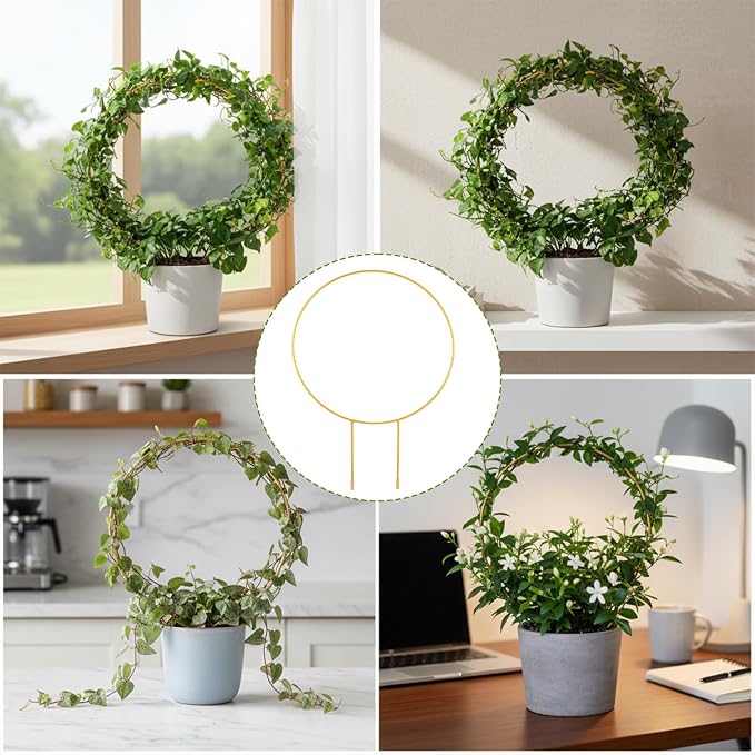 2 Pack Circle Trellis for Climbing Plants Indoor, Small Metal Garden Plant Support Stakes for Decorative Potted Plants Pothos Hoya Trelli Vines Indoor Outdoor (Gold)