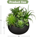 Hollyone Fake Plants Artificial Succulents in Pots Faux Succulent Arrangement Potted Plant in Black Ceramic Planter Bowl for Home Decor Office Desk Bathroom Shelf Living Room Indoor Decorations
