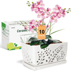 Ceramic Orchid Pot, 10 Inch Orchid Pots with Holes, Premium Thickened Handmade Glazed Pot for Orchidaceae Plants, Indoor Outdoor Decorative Flower Pots for Easy Repotting