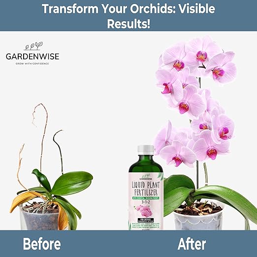 GARDENWISE Liquid Orchid Fertilizer Concentrate 3-1-2 with Micronutrients Orchid Care Made Easy (16 OZ)