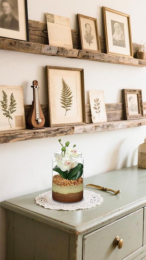 White Orchids Artificial Flowers with Vase, Small Faux Orchid Arrangement Fake Orchids Plant in Terrarium Jar Small White Orchid Centerpieces for Kitchen Dining Room Tables Bathroom Nightstand Decor