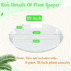 FUIJOL 6 Pack Clear Plant Saucer, Durable Plant Drip Trays Saucers for Pots, No Holes Water Catcher Trays for Indoor Outdoor Planter, Sturdy Base Plate (10", Clear)