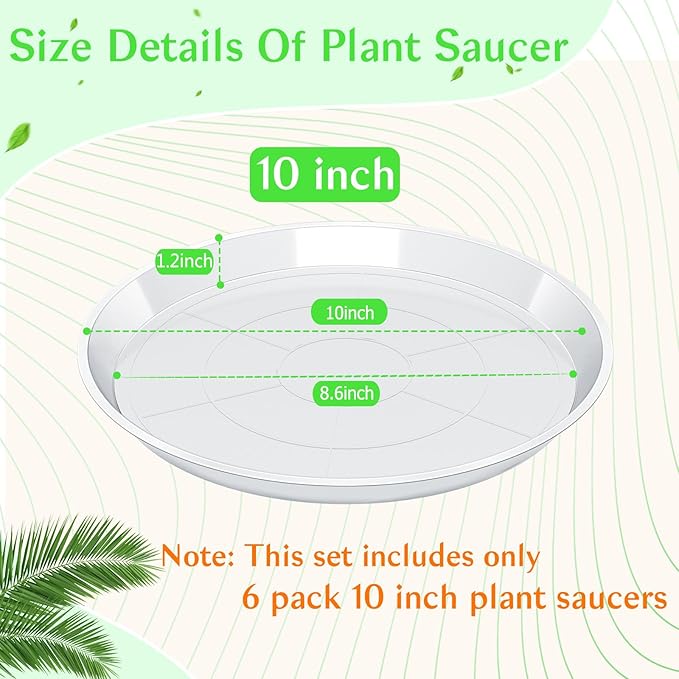 FUIJOL 6 Pack Clear Plant Saucer, Durable Plant Drip Trays Saucers for Pots, No Holes Water Catcher Trays for Indoor Outdoor Planter, Sturdy Base Plate (10", Clear)