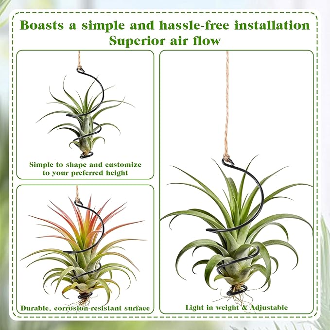 12 Pcs Air Plants Live Holders with Jute Ropes, Soilless Air Plant Hanger Hanging Plant Holder Succulent Hanging Display