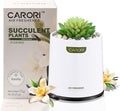 Artificial Succulent Plants with Subtle Vanilla Scent, Faux Indoor Plants for Home Decor, Small Fake Plant for Bathroom, Bedroom, Office Decor, Aesthetic Room Accessories, Housewarming Gift