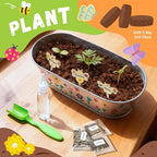 PLANTMEW Paint & Plant Flower Growing Kit for Kids - Fun Kids Gardening Set - Unique Birthday, Crafts & Arts, Gardening Gifts for Girls & Boys, Ages 5, 6, 7, 8-12 Years Old, Easter Gifts for Girls