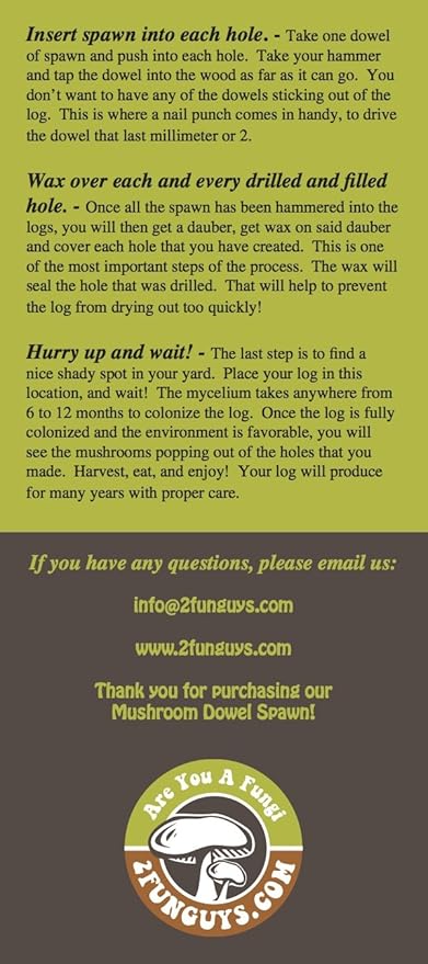Shiitake Plug Spawn Starter Kit - Grown Your Own Mushrooms