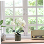 Artificial Orchid 12.6 Inch Tall Realistic Faux Orchid in A Pot Real Touch Decorative Bonsai Fake Flowers for Table Centerpieces Living Room Home Decor White