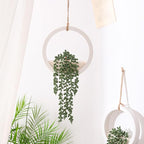 Boho Wall Decor, 2Pcs Fake Hanging Plants Artificial Succulents, Indoor Hanging Planter Greenery Decor, Perfect for Bathroom Living Room Bedroom Office Washroom, Faux Succulent Wall Floating Plants