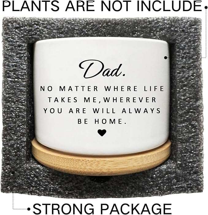 Succulent Planter Pot for Dad - Cute 3 Inch Plant Dad Gift from Daughter or Son with Bamboo Tray, Best Fathers Day Birthday Gardening Gifts for Dad, Grandpa, Husband