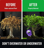 GROWIT Soil Water Monitor for Plants - Soil Moisture Meter | Hydrometer for Plants | Plant Moisture Meter Houseplants | Water Tester for Plants | Farming Indoor and Outdoor Plants-Purple