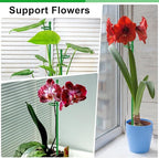20Pcs Plant Support Stakes 17 inch SupKing Garden Orchid Sticks Extended to 3ft 4ft 5ft Plant Poles with Clips for Indoor Outdoor Potted Tomato Rose Amaryllis Vegetables Comes with 20 Ties