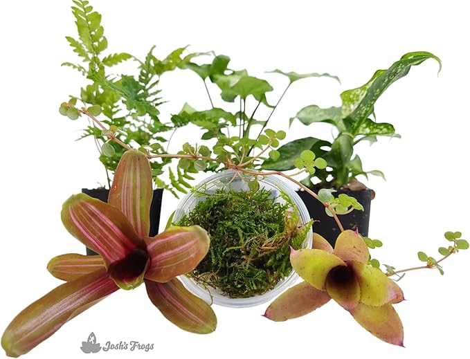 Josh's Frogs Dart Frog Vivarium Bioactive Plant Kits (10 Gallon)