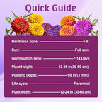 1000+ Crazy Blend Zinnia Seeds for Planting Zinnia Elegans Heirloom Open Pollinated & Untreated Mixed Color Zinnia Flowers