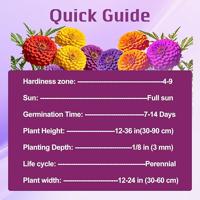 1000+ Crazy Blend Zinnia Seeds for Planting Zinnia Elegans Heirloom Open Pollinated & Untreated Mixed Color Zinnia Flowers