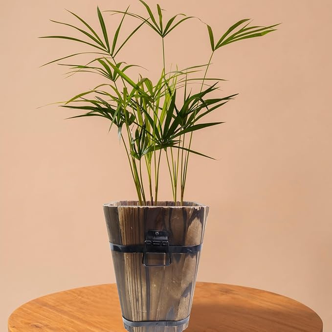 MY MIRONEY Plant Pots, Vintage Wooden Barrel Planter - Solid Rustic Garden Flower Pot with Metal Handles & Frame for Indoor Planter, Office Home Decor, Garden Home Plants, 6.69" x 9.45"