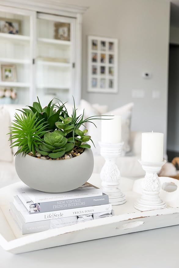 Hollyone Succulents Plants Artificial in Pots Fake Succulents for Outdoors Indoor Faux Succulent Arrangement Potted Plant in Cement Planter Bowl for Garden Office Desk Shelf Living Room Home Decor