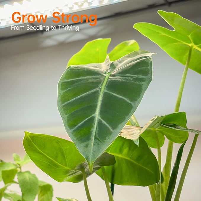 Bstrip Indoor Greenhouse with Grow Light, 23.5"x13.8"x59" Portable Metal Greenhouse Shelves with T8 2FT Full Spectrum Grow Light & Timer, Adjustable Plant Stand for Indoor Plant, Spring Seed Starting