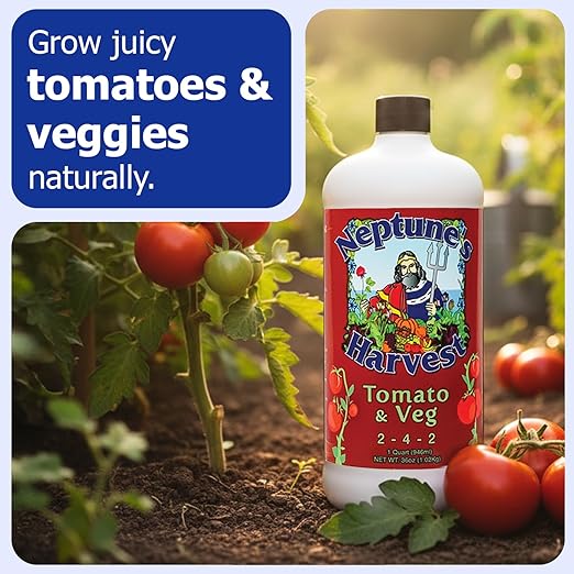 Neptune’s Harvest Organic Tomato & Vegetable Plant Fertilizer (2-4-2) - Liquid Plant Food w/Fresh Fish, Seaweed, Molasses, Yucca Extract, & Humic Acids - for Vegetable Garden (Quart (2 Pack))