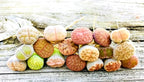 Pack of 15 Live Small Exotic One Year Old Lithops Plant Seedlings Perfect for Lithops Starter Great Terrarium Addition (Pack of 15 Seedlings + Seed Kit (25 Seeds))