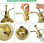 Stainless Steel Plant Sprayer, Small Watering Can, Modern Gardening Tool for Indoor Potted Plants, Gold Color