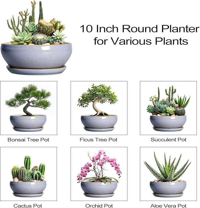SQOWL Succulent Pots - 10 Inch Ceramic Bonsai Pots with Drainage Hole and Saucer, Round Shallow Planter for Indoor Outdoor Plants, Ceramic Planter Bowl, Home Decor, Gardening Gifts, Blue