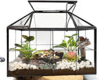 Ferrisland Glass Terrarium Greenhouse House Shape Display Box Planter for Succulents Plant Terrarium Container Mordern Tabletop Decor Gardern DIY Kit