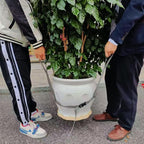 Potted Plant Mover and Lifting Straps for Garden, Landscaping Lifting Straps, Move Heavy Garden Objects: Flower Pots, Planters, Trees, Rocks,Pot Tool,Gray