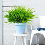 Uieke 6 Bundles Artificial Outdoor Plants UV Resistant Fake Grass Plants Faux Plastic Plants Greenery Shrubs for Home Garden Pathway Window Box Front Porch Cemetery Spring Summer Decor, Green