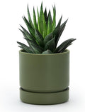 Phoenix Vine 4 Inch Planter Pot with Drainage Hole & Saucer, Deep Water Catch Tray, Straight Cylindrical Round Pot for Plants, Olive, Pack of 1, 23-F-R-1