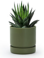 Phoenix Vine 4 Inch Planter Pot with Drainage Hole & Saucer, Deep Water Catch Tray, Straight Cylindrical Round Pot for Plants, Olive, Pack of 1, 23-F-R-1
