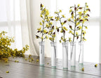 Plastic Floral Water Tubes - 40-Pack Clear Florist-Grade Stem Holders for Hydration, Flower Arrangements Supplies with Leakproof Caps (Weddings/Bouquets)