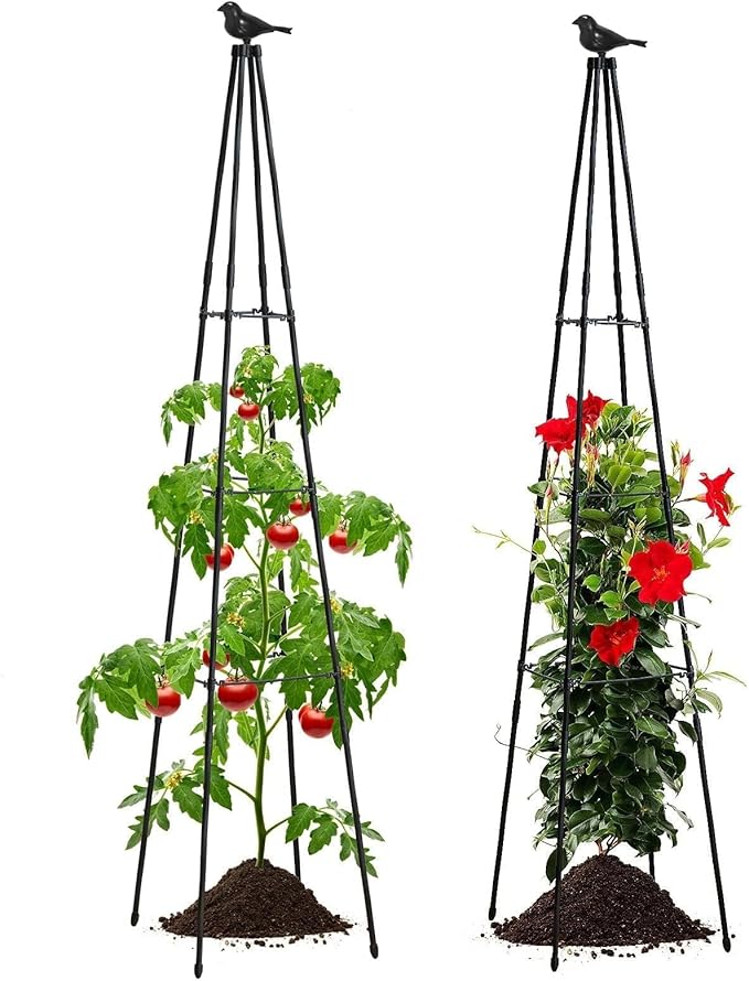 FOLLOOK Cucumber Trellis, 67" Tall Obelisk Garden Trellis for Climbing Plants Outdoor Plastic-Coated Metal Support for Flower Vine Vegetable Tomato Cage Cucumebr Trellis Raised Bed, Black, 2 Pack