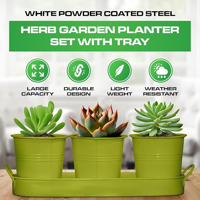 Plexon Herb Planter Indoor Garden Set of 3 with Tray, Metal Herb Pots for Indoor Plants, Round Kitchen Garden Kit Ideal for Windowsill Planter or Countertop, Green Powder Coated