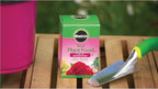Miracle-Gro Water Soluble Rose Plant Food 1.5 lbs., 2-Pack