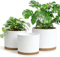 Large Plant Pots Set of 3 – 8", 9", 10" Indoor Flower Pots with Drainage Holes and Saucers, Big Planters for Monstera, Fiddle Leaf Fig, Snake Plant – 5 Colors