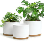 Large Plant Pots Set of 3 – 8", 9", 10" Indoor Flower Pots with Drainage Holes and Saucers, Big Planters for Monstera, Fiddle Leaf Fig, Snake Plant – 5 Colors