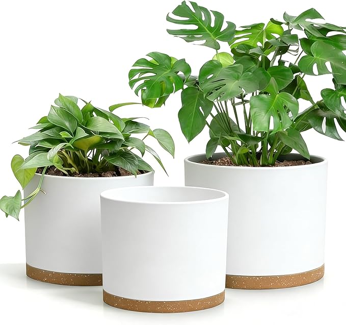 Large Plant Pots Set of 3 – 8", 9", 10" Indoor Flower Pots with Drainage Holes and Saucers, Big Planters for Monstera, Fiddle Leaf Fig, Snake Plant – 5 Colors
