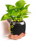 PLANTPETZ Large Robotic Planter – Smart Planter Fits 4 Inch Pots | Bluetooth Speaker | Interactive Smart Plant Pot Turns A Real Plant Into a Touch/Motion Responsive Companion - Charcoal