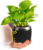 PLANTPETZ Large Robotic Planter – Smart Planter Fits 4 Inch Pots | Bluetooth Speaker | Interactive Smart Plant Pot Turns A Real Plant Into a Touch/Motion Responsive Companion - Charcoal